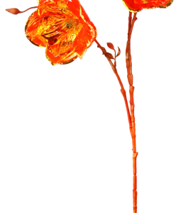 5803 FLEUR AR. FLORA LUXE ORANGE